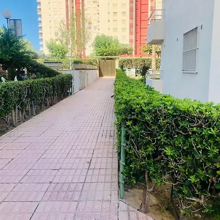 Edificio Zeus Apartmán *